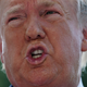 Image for article titled Your Little 'President' Is an Idiot Who Lacks Self-Awareness
